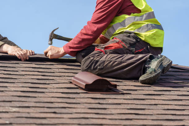 Best Roof Gutter Cleaning  in Fairview, TN